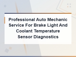 Professional Brake Light and Coolant Temperature Sensor Diagnostics Service
